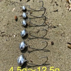 ロックフィッシュ狙いでしたが