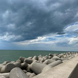 魚津港 フカセ釣り