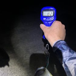 サイトエギング？