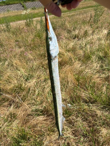 自己記録更新の75センチ