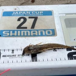 シロギスタ:ぶらり途中下浜の旅