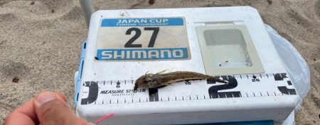 シロギスタ:ぶらり途中下浜の旅