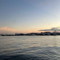 まいだいるのか？コノシロ祭り