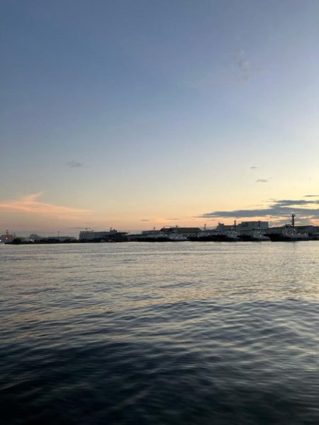 まいだいるのか？コノシロ祭り