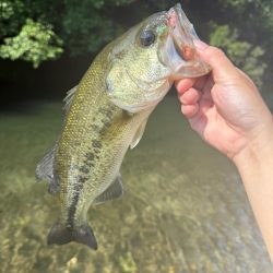 バックウォーター