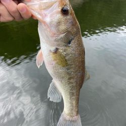 1日ボート釣行!