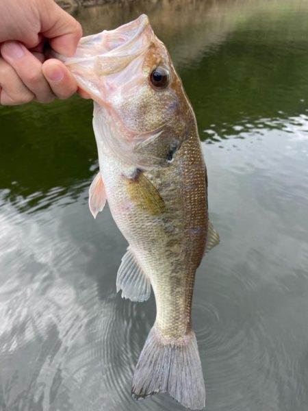 1日ボート釣行!
