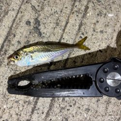 極豆／ミニマム勝負