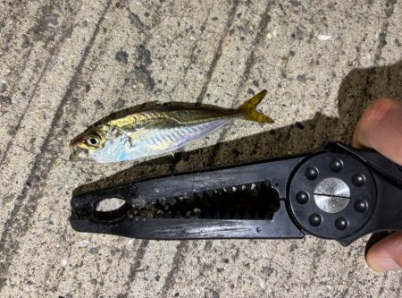 極豆／ミニマム勝負