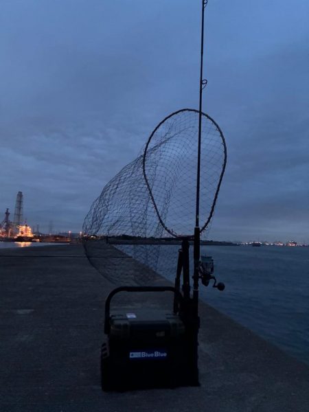 誰か姫路で青物釣れてます?