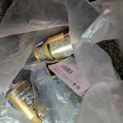 清掃活動：ハゼのちガシラ