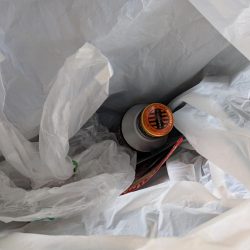 清掃活動：初魚種