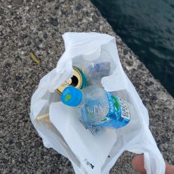 清掃活動：剣先ならず甲イカ