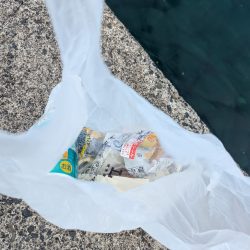 清掃活動：ショアお助けティップラン