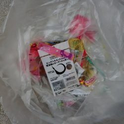 清掃活動：今季初のライトジギング&…