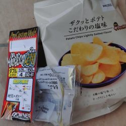 清掃活動：今季初のイカメタル