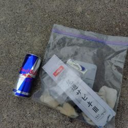 清掃活動：激渋カワハギからのサビキで鯛