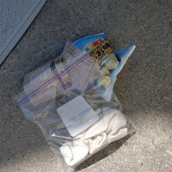 清掃活動：浜田沖でのイカメタル