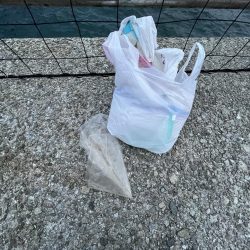 清掃活動：豆　豆　豆2