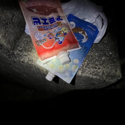 清掃活動：梅雨中休み