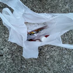 清掃活動：豆アジ回遊あり