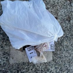 清掃活動：朝練　豆アジ