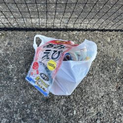 清掃活動：豆アジ回遊中！！