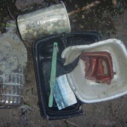 清掃活動：6月のなまず