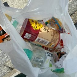 清掃活動：ちょい投げキス釣り