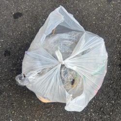 清掃活動：エビ撒きでチヌ活性高いです