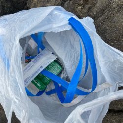 清掃活動：サイト