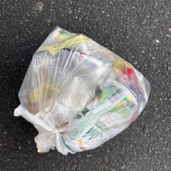 清掃活動：雨上がりのエビ撒き