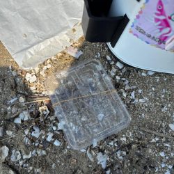 清掃活動：キス釣り