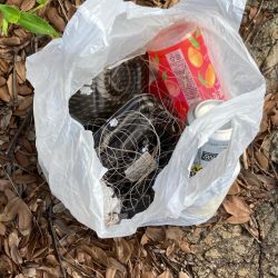 清掃活動：やっぱり