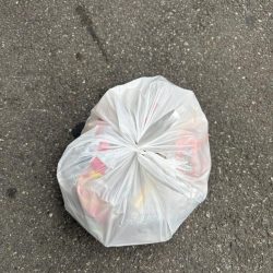 清掃活動：エビ撒きでガシラ、セイゴ釣れまし…