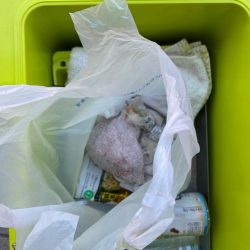 清掃活動：スルメタル