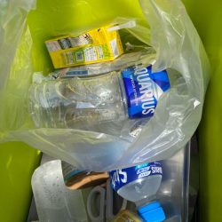 清掃活動：初船タコ