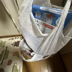 清掃活動：豆　まめ　マメ