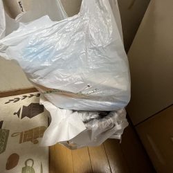 清掃活動：人が多いけど豆アジげきしぶ　