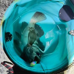 根掛かりを外したら⋯！