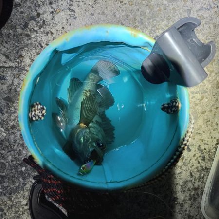 根掛かりを外したら⋯！