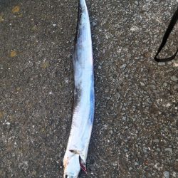 久しぶりの釣果！