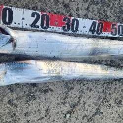 F4ほぼ確イベント中