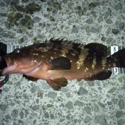 久しぶりに考えさせられた！