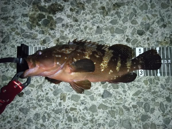 久しぶりに考えさせられた！