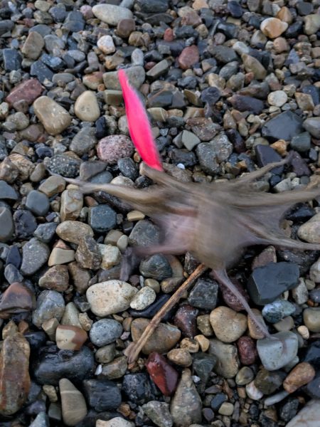 ~ｷｮｳﾔﾏ~ 執念の1杯！