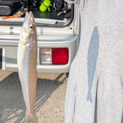 キスを求めて、日本海へ！