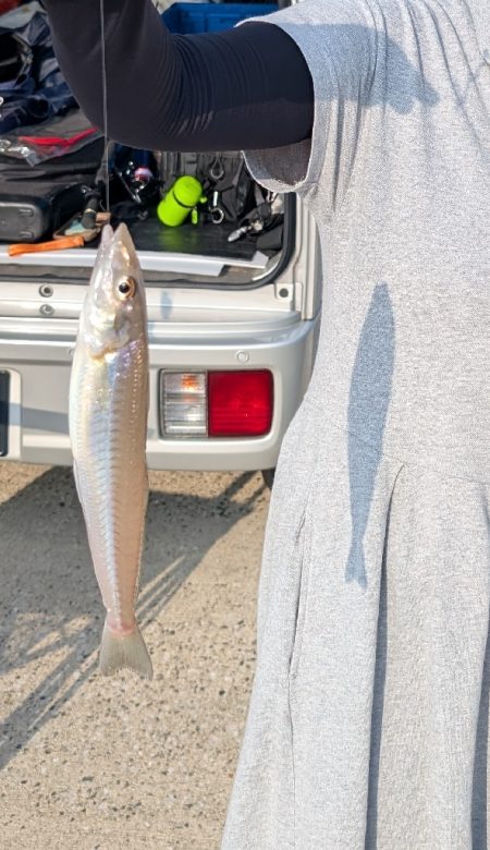 キスを求めて、日本海へ！