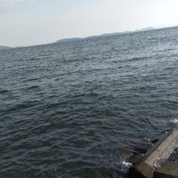 チャリコ＆ヒイラギ祭り