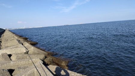 キスが食べたくて。